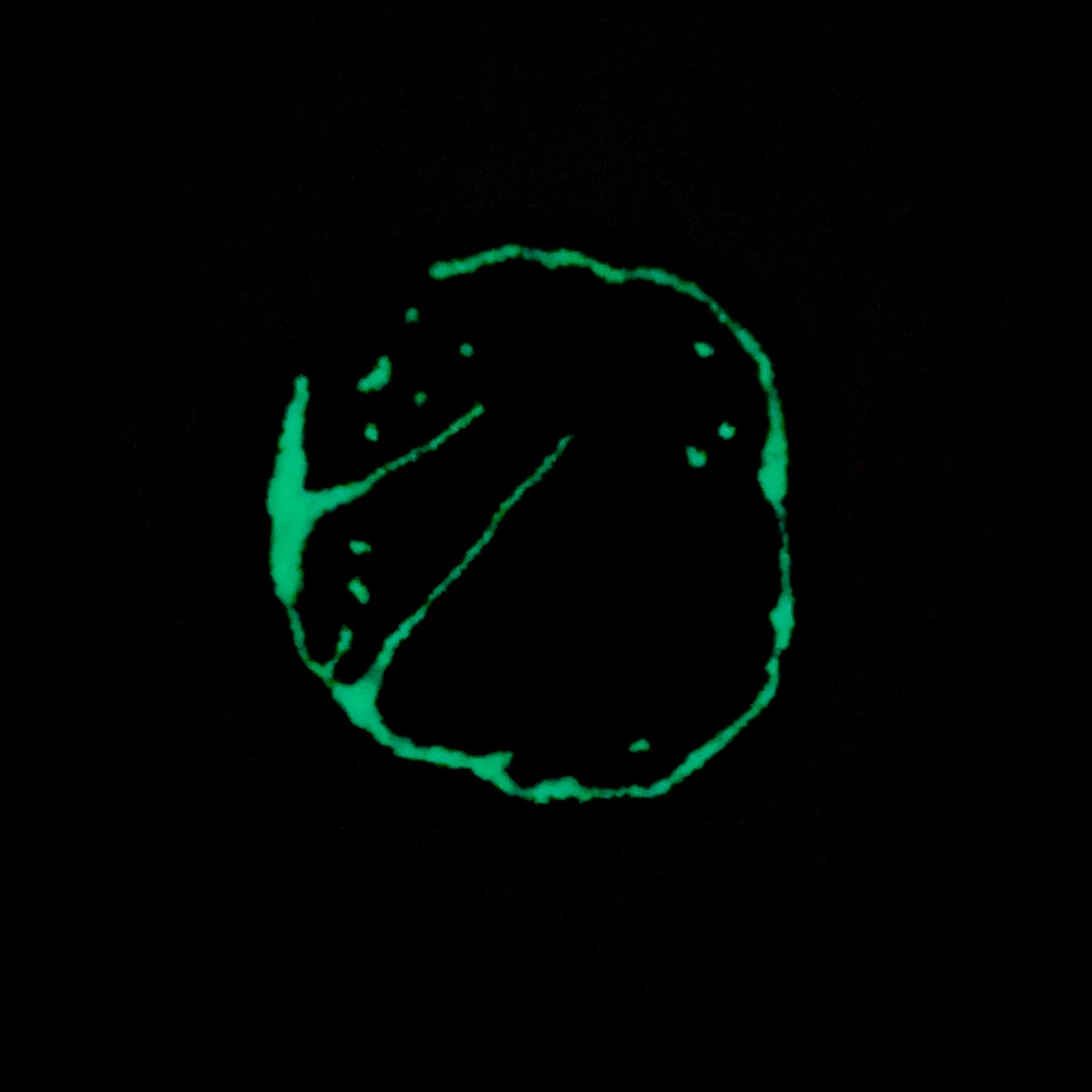 【REPTILE RUGS】Epiperipatus barbadensis(S)