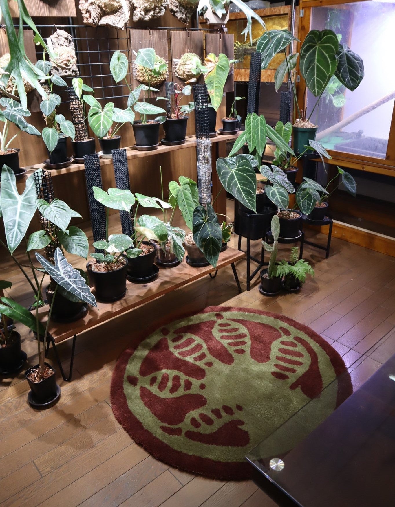 【受注制作/REPTILE RUGS】Gecko Stamp rug/BrownGreen