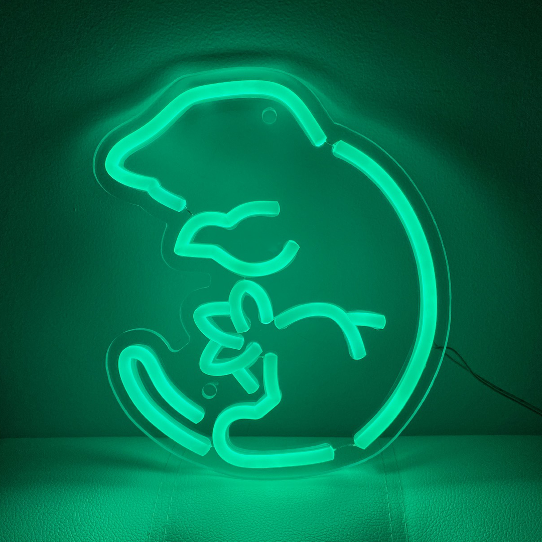 LEACHIE NEON(basic)