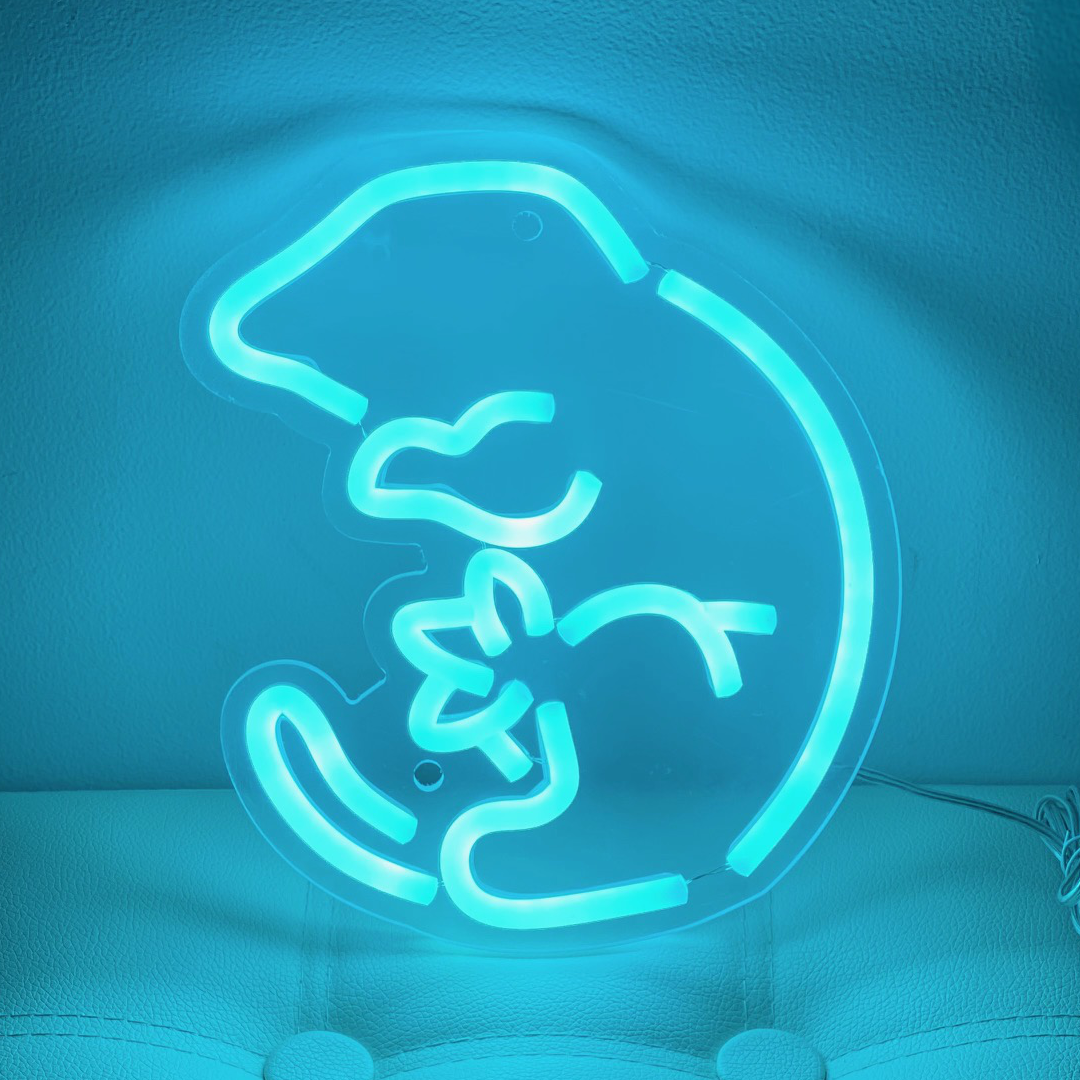 LEACHIE NEON(basic)