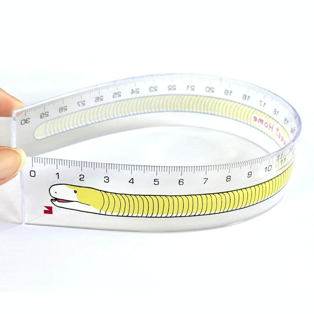 HOME SWEET HOME~ シロハラミミズトカゲの軟質定規