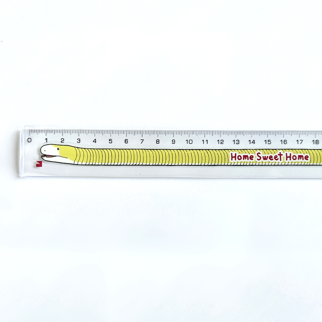 HOME SWEET HOME~ シロハラミミズトカゲの軟質定規